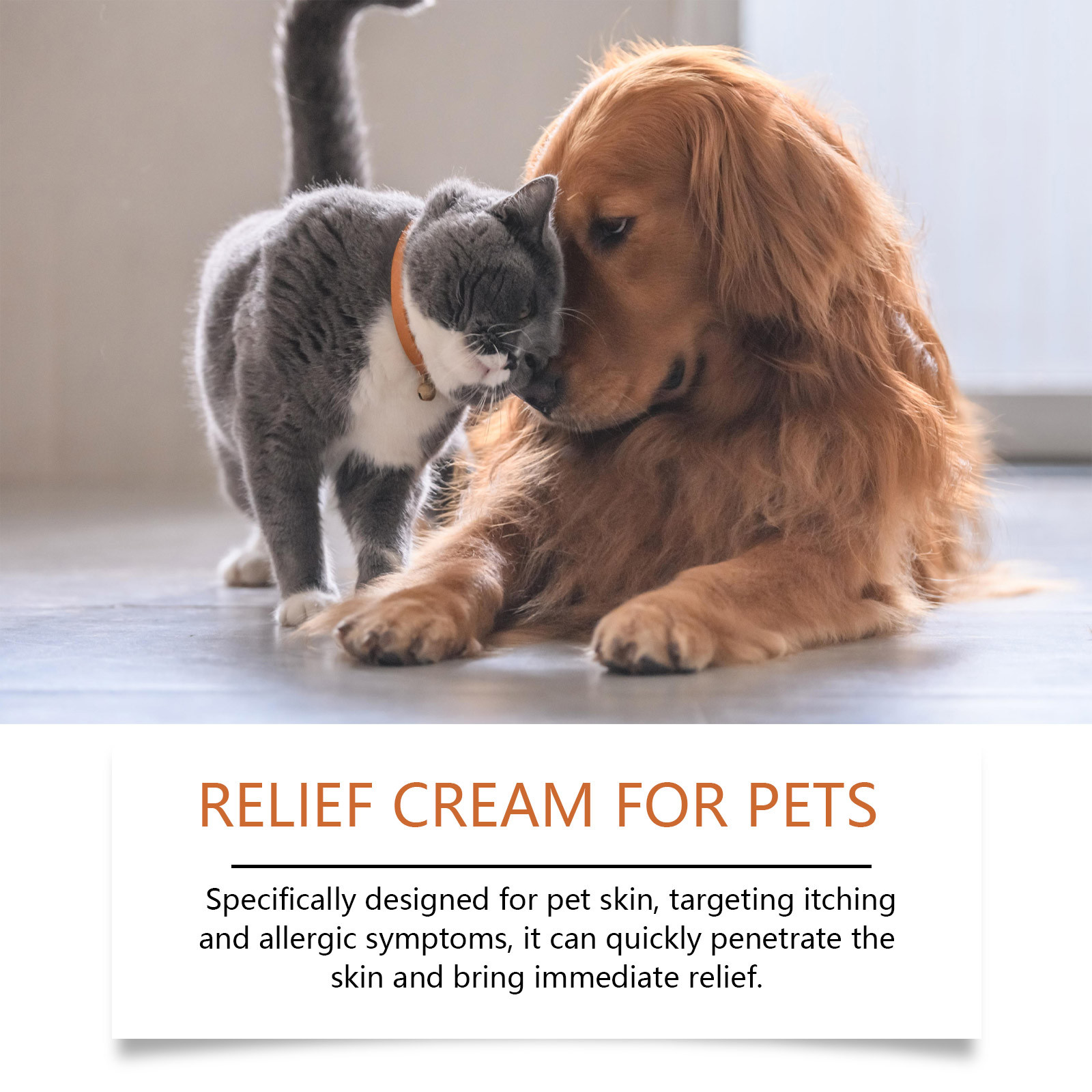 Yeni Pet Antiitch Antialerjik  - Skincare Herbal incelemesi ve fiyatı